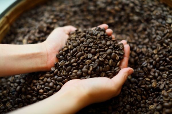 coffee beans picture