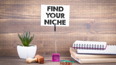 find your niche thumbnail hero image