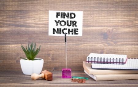 find your niche thumbnail hero image