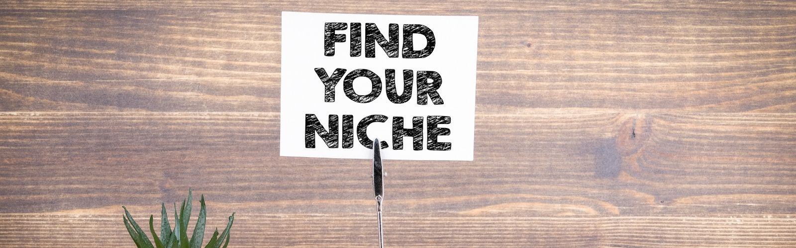 find your niche